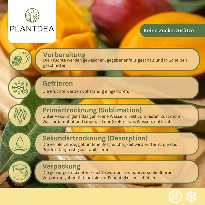 Gefriergetrocknete Mangostückchen I 100% Frucht I Ohne Zuckerzusatz I Vegan & Glutenfrei I Knuspriger Snack & Topping I Freeze-dried mango slices I Gefriergetrocknete Mango | PlantDEA - Image 6